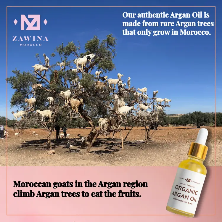 ANCIENTELIXIRS-7_7064b88b-905d-4c8f-a61b-eba39026c4f0.webp